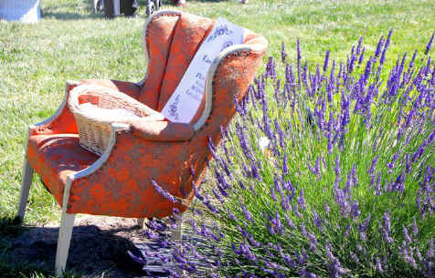 Vendor Chair at Purple Ridge Lavender Festival in Hermiston Oregon